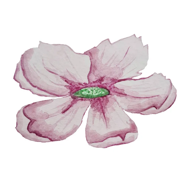 Une Fleur Aquarelle Rose Avec Noyau Vert Avec Des Pistils — Photo