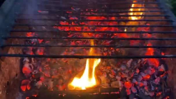 Fogo quente brilhante em troncos de madeira seca e carvão de queimaduras de lenha em churrasqueira ao ar livre. — Vídeo de Stock