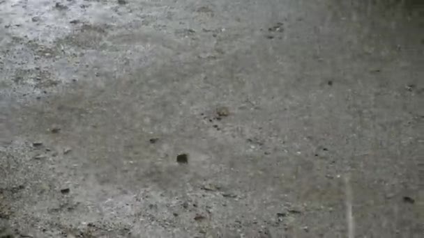 Ofta förekommande droppar vatten från regn faller på marken eller asfalt med stänk. — Stockvideo