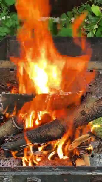 Ljus het eld på torra trästockar och kol från ved brinner utomhus grill. — Stockvideo