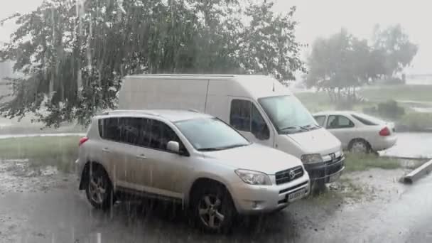キエフ ウクライナ 2021年7月 街の通りに立っている車に大雨が降り 風が木の枝を振る 土砂降り ハリケーン 接近中だ — ストック動画