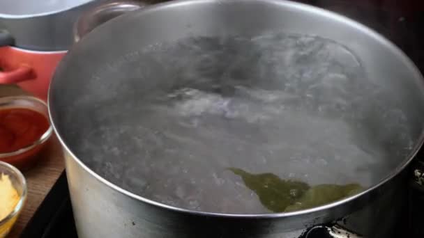 Hamur köfteleri tencerede sıcak suda kaynatılmış ve ev mutfağında defne yaprağı var.. — Stok video