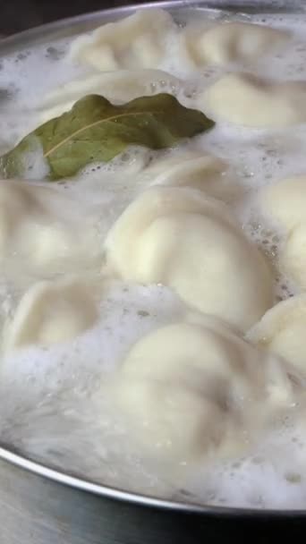 Dumplings Boiled Hot Water Saucepan Bay Leaf Domestic Kitchen Chinese — Video