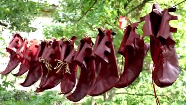 Spezielle Ledernarrenschuhe Werden Nach Der Reinigung Hinterhof Getrocknet Oder Gelüftet — Stockvideo