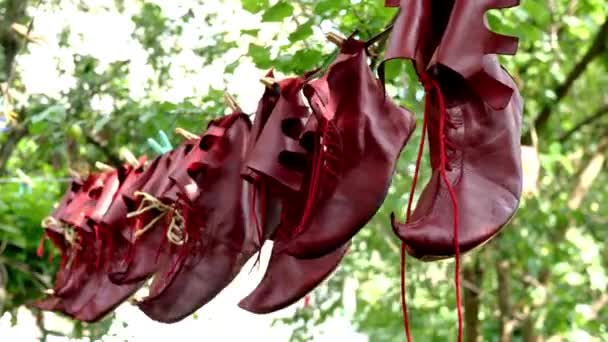 Special Theatrical Leather Jester Shoes Dried Ventilate Cleaning Backyard Close — Stock video