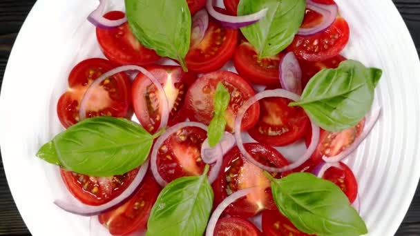 Fly Sat Tomato Salad Basil Chopped Onion White Ceramic Dish — Video