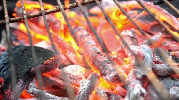 Wooden Firewood Charcoal Burn Fire Hot Orange Flames Sparks Smoke — Vídeo de stock