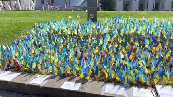 Kyiv Ukraine August 2022 Lots National Flags Ukraine Names Killed — Stockvideo