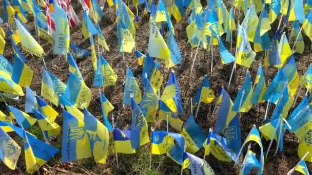 Lots National Flags Ukraine Names Killed Soldiers War Russian Aggressors — Αρχείο Βίντεο