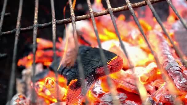 Wooden Firewood Charcoal Burn Fire Hot Orange Flames Sparks Smoke — 图库视频影像