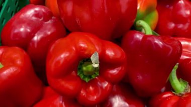 Çiftçi tezgahında satılık taze kırmızı İspanyol dolmalık biber yığını. Besleyici vejetaryen veya vejetaryen sağlıklı yiyecekler. Kapat..