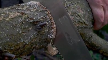 Human hands sawing wood tree trunk with hand saw in garden or backyard. Gardening on household. Close up.