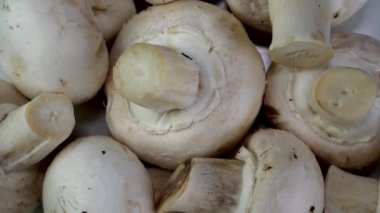 Yenilebilir beyaz şampiyonlar mantarı dokuma kapaklı mantarlar yavaş yavaş döner. Kapat..
