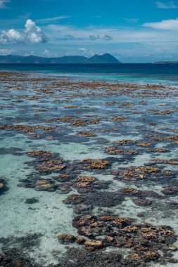 Sabah, Bum Bum Adası 'ndaki boş Semporna plajında dalgaların çekildiği engebeli mercan resiflerinin parlak manzarası.