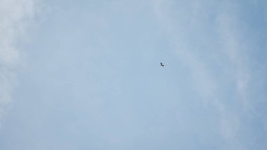 Beyaz bulutlar ve gökyüzündeki kuş