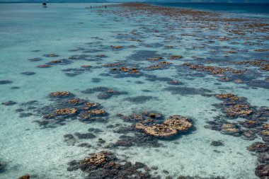 Sabah, Bum Bum Adası 'ndaki boş Semporna plajında dalgaların çekildiği engebeli mercan resiflerinin parlak manzarası.