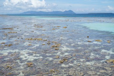 Sabah, Bum Bum Adası 'ndaki boş Semporna plajında dalgaların çekildiği engebeli mercan resiflerinin parlak manzarası.