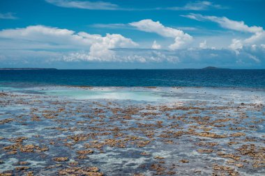 Sabah, Bum Bum Adası 'ndaki boş Semporna plajında dalgaların çekildiği engebeli mercan resiflerinin parlak manzarası.