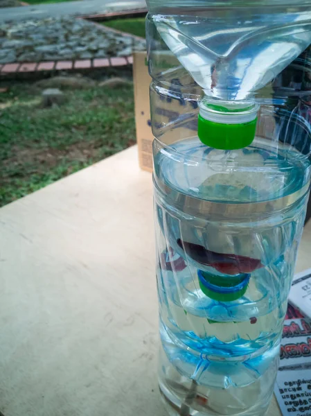 Selangor, Malezya - 8 Aralık 2019: Geri dönüşüm şişesi küçük bir akvaryuma dönüştürüldü..