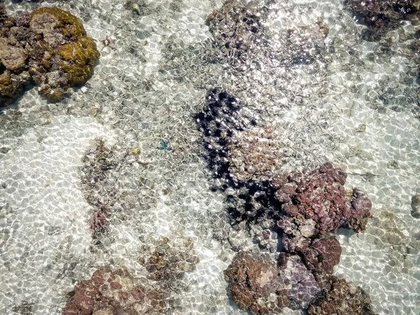 Barriera Corallina Bassa Marea Nell Isola Vicino Pulau Bum Bum — Foto Stock