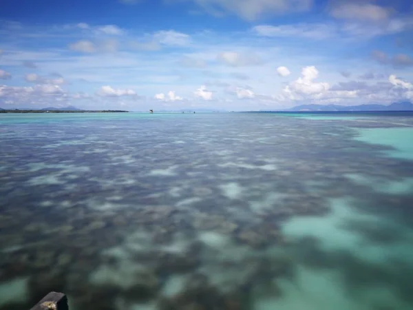 Corallo Vivo Con Bassa Marea Sampoerna Sabah Malesia — Foto Stock