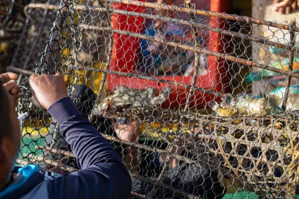 Рыба Ржавой Металлической Ловушке Выловленная Рыбаком Лодке Солнечный День Семпорне — стоковое фото