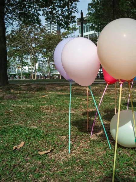 Yeşil Arka Planda Renkli Balonlar Kutlama Çocuklar Doğum Günü Partisi — Stok fotoğraf