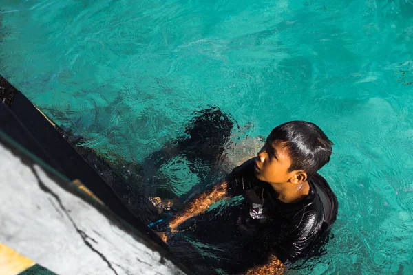 Semporna, Malezya - 26 Kasım 2019: Çocuklar eğlence için kristal berrak mavi okyanusa atladıktan sonra bir iskelede merdivene tırmandılar.