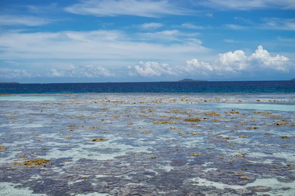 Vista Panorámica Brillante Del Arrecife Coral Áspero Expuesto Marea Baja — Foto de Stock