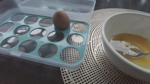 Yumurta Kutusunu Taze Çiğ Tavuk Yumurtası Yavaş Çekim — Stok video