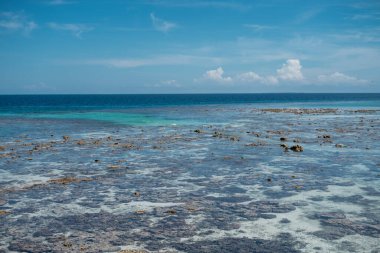 Sabah, Bum Bum Adası 'ndaki boş Semporna plajında dalgaların çekildiği engebeli mercan resiflerinin parlak manzarası.