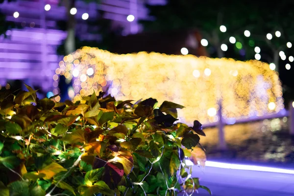 Bahçe Çalılıklarında Süsleme Işığı Kutlaması Soyut Görüntü Bulanık Arka Plan — Stok fotoğraf