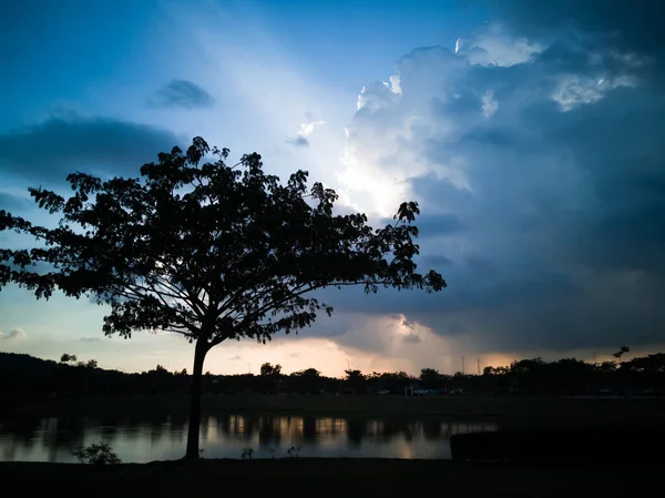 Gün batımında göl manzarası yakınında ağaç silueti.