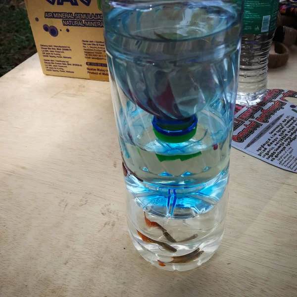 Selangor, Malezya - 8 Aralık 2019: Geri dönüşüm şişesi küçük bir akvaryuma dönüştürüldü..