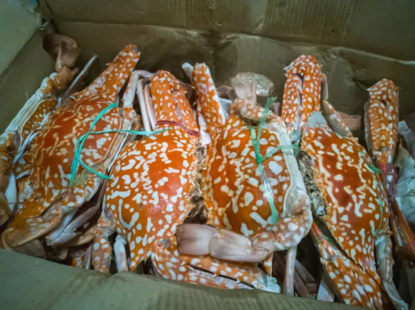 Crabs in a box, steamed and cooked before delivery.