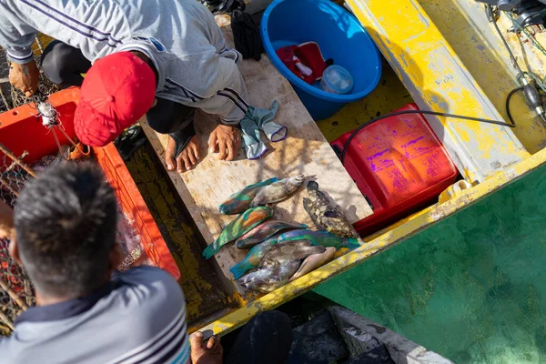 Rauwe Verse Vis Vissersboot Worden Verkocht Aan Klanten Semporna Sabah — Stockfoto