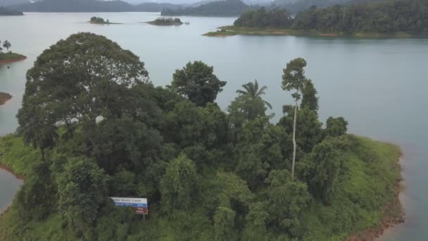 Εναέρια Κορυφή Προς Κάτω Κίνηση Του Νησιού Ζούγκλα Στη Λίμνη — Αρχείο Βίντεο