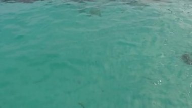 Mavi gök mavisi turkuaz deniz suyu dokusunun yukarıdan aşağı havadan görünüşü. Su yüzeyinin manzarası. Su yüzeyinin arka planı.