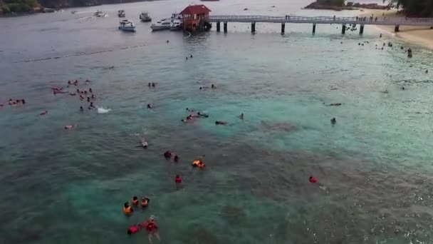 Redang Malaysia Circa 2018 Aerial View Local Tourists Snorkeling Beach — Stock Video
