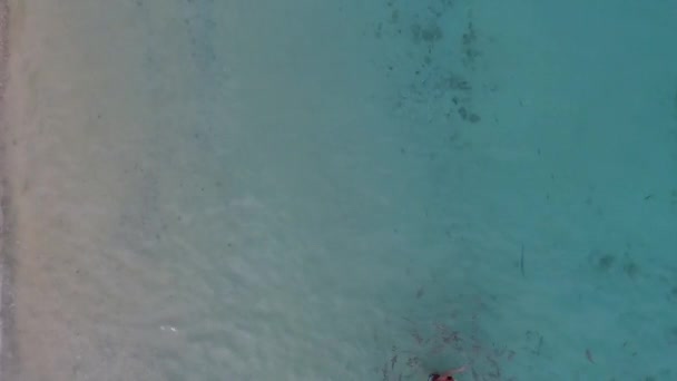 Redang Maleisië Circa 2018 Luchtfoto Van Kristalhelder Zeewater Met Vissen — Stockvideo