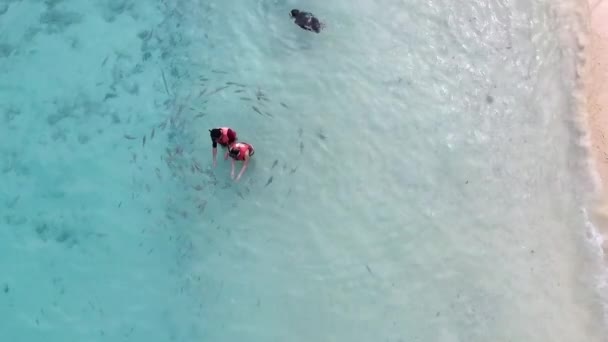 Redang Malaysia 2018 Luftaufnahme Lokaler Touristen Beim Schnorcheln Strand Bei — Stockvideo