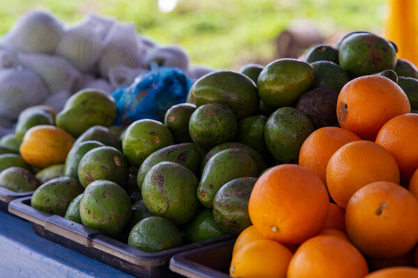 Oranges and mangoes for sale at the market.