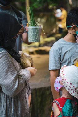 Güvercin bir çocuğun elinden yiyor..