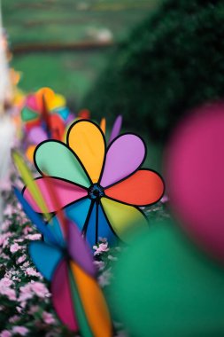 Parkta renkli gökkuşağı fırıldağı.