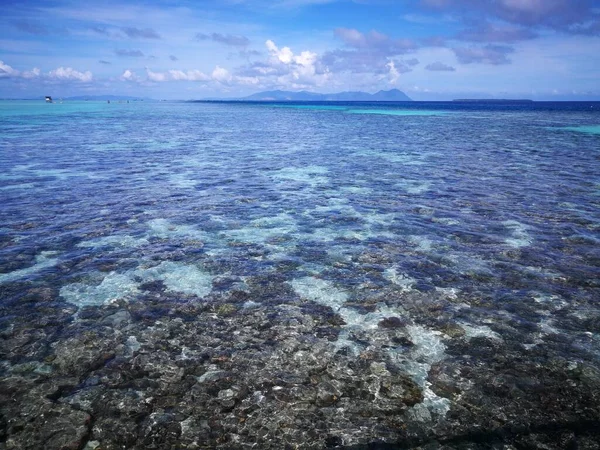 马来西亚沙巴州Sampoerna的低潮活珊瑚 — 图库照片