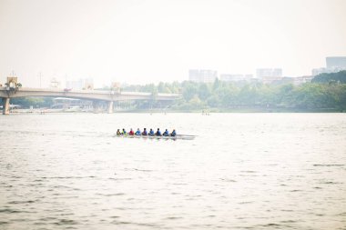 Putrajaya, Malezya - 6 Eylül 2019: Taman Botani yakınlarındaki gölde ejderha tekne yarışçısı çalışması.
