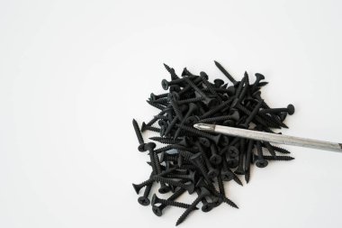 Beyaz arka planda izole edilmiş aynı boyutta siyah vidalar..