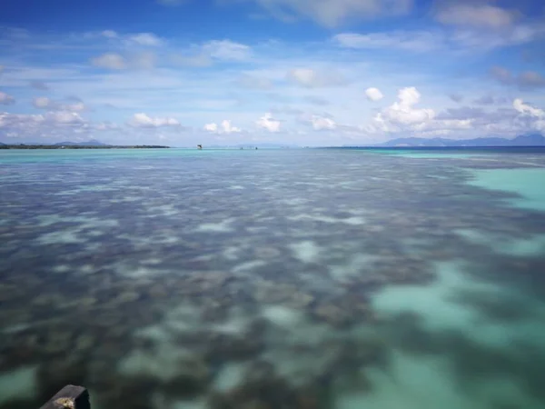 Живіть Коралі Біля Берегів Сампоерни Малайзія — стокове фото
