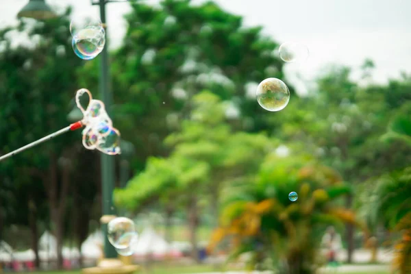 Cerrar Burbujas Jabón Flotando Parque Del Jardín Enfoque Selectivo — Foto de Stock