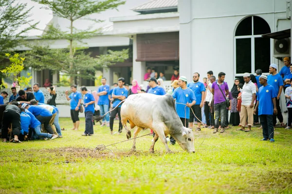 Selangor Malajsie Srpna 2019 Obětní Hostina Známá Také Jako Hari — Stock fotografie